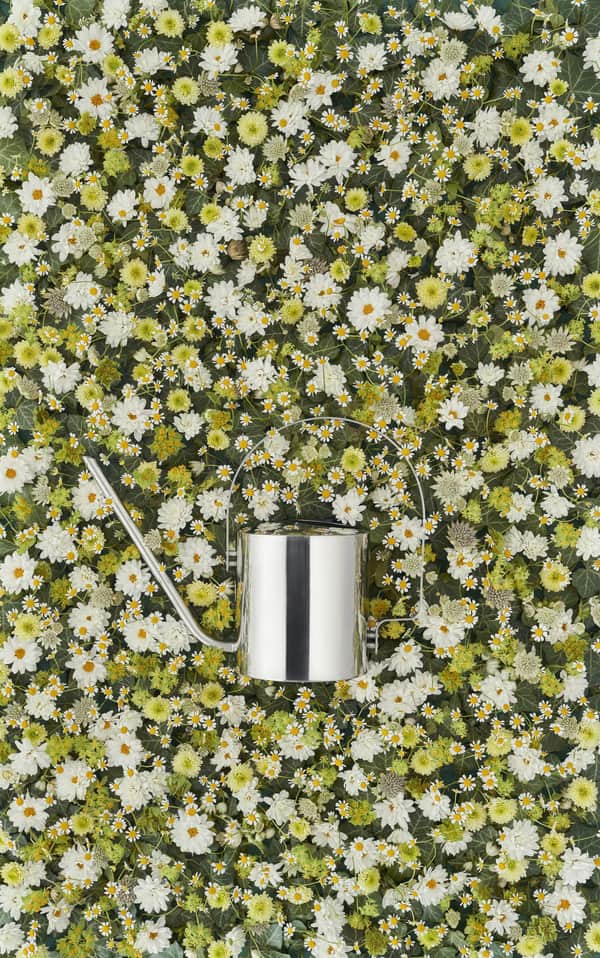 Stelton Original Vandkande