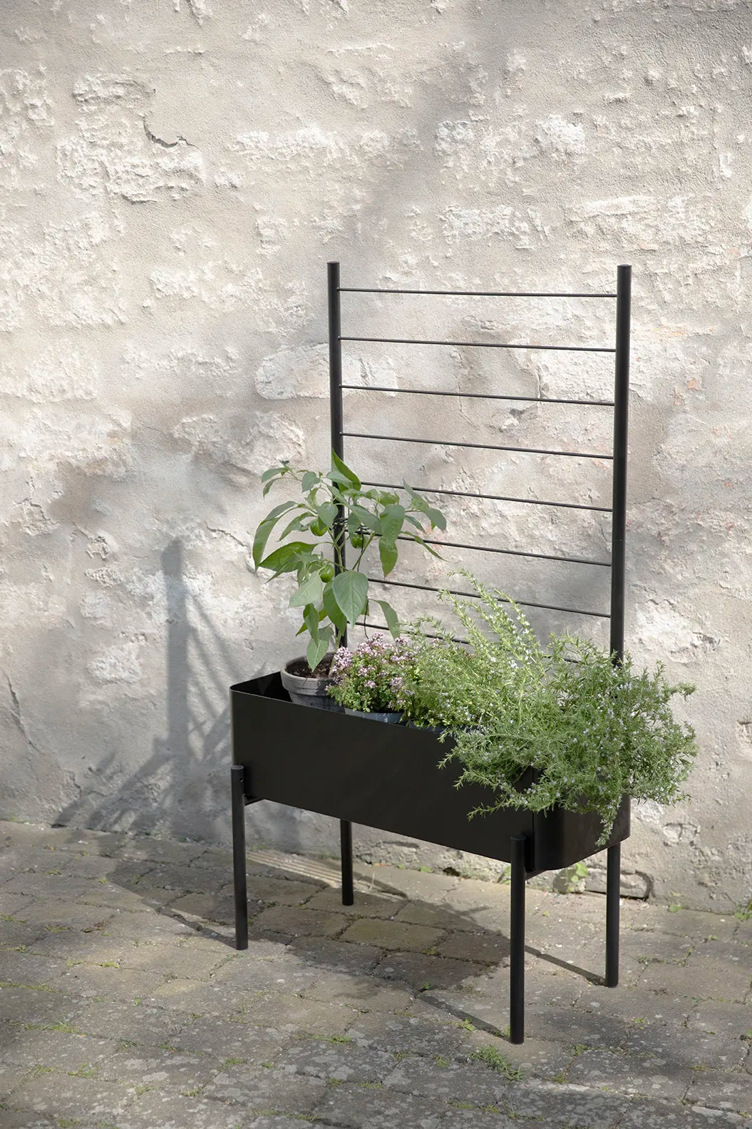 Eva Solo Simply Grow Espalier Til Plantekasse