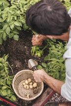 Fiskars Xact Planteske