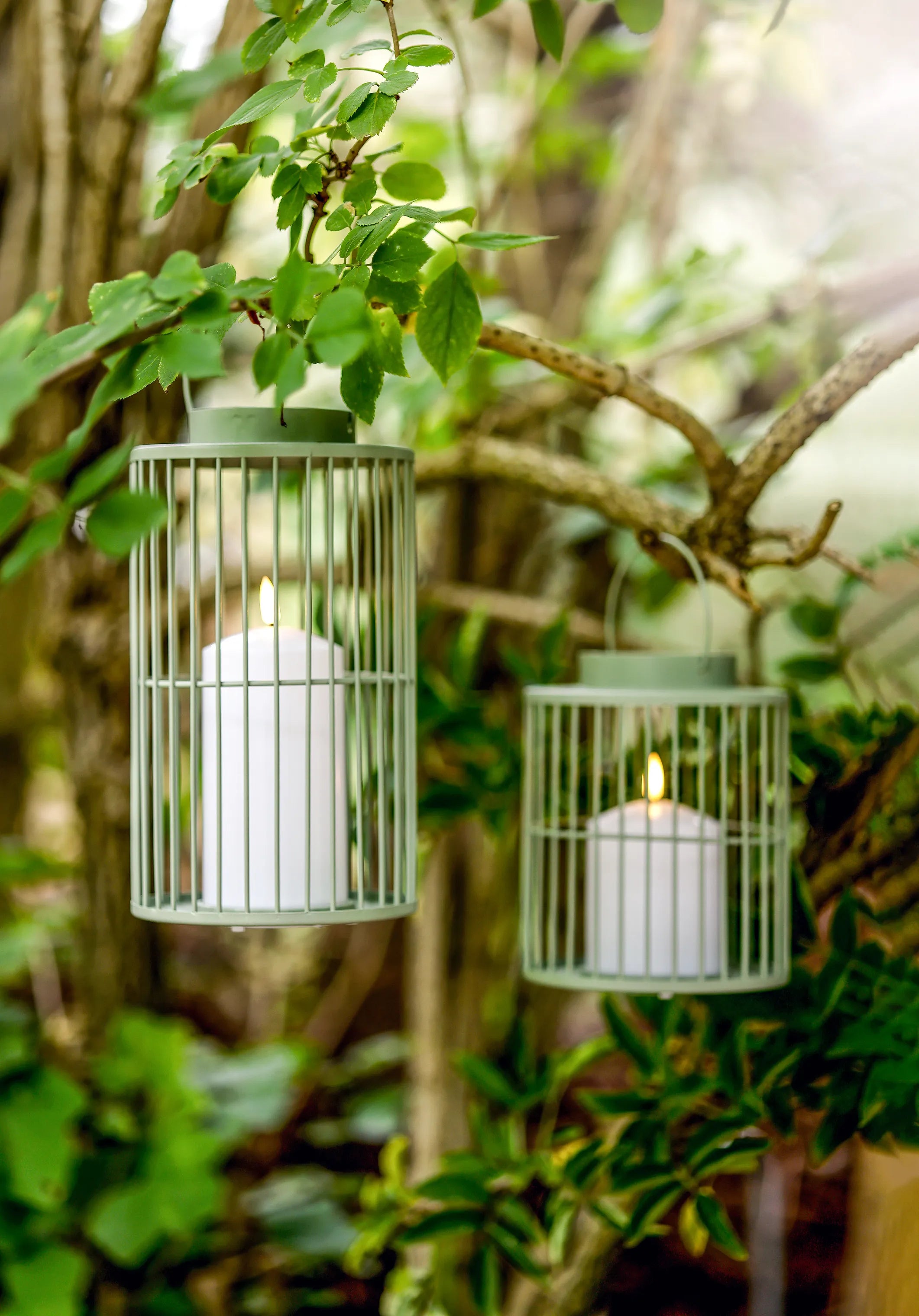  LED Lanterne