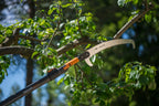 Fiskars QuikFit™ Beskæresav - Buet