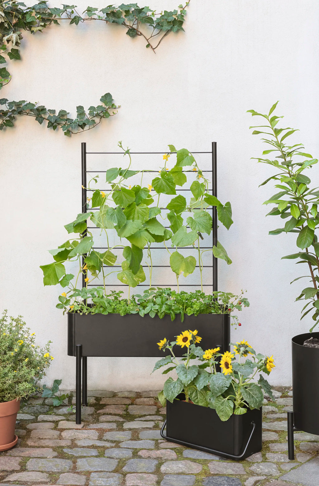 Eva Solo Simply Grow Espalier Til Plantekasse