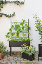 Eva Solo Simply Grow Espalier Til Plantekasse