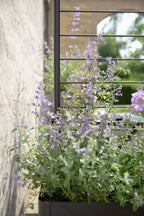 Eva Solo Simply Grow Espalier Til Potteskjuler