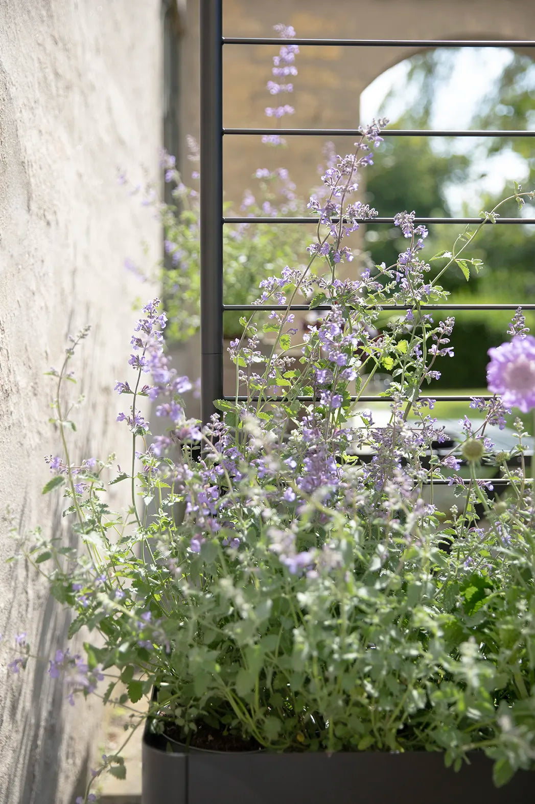 Eva Solo Simply Grow Espalier Til Potteskjuler