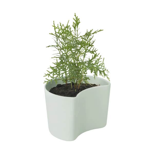 RIG TIG Your Tree Plantepotte M. Fyrrefrø