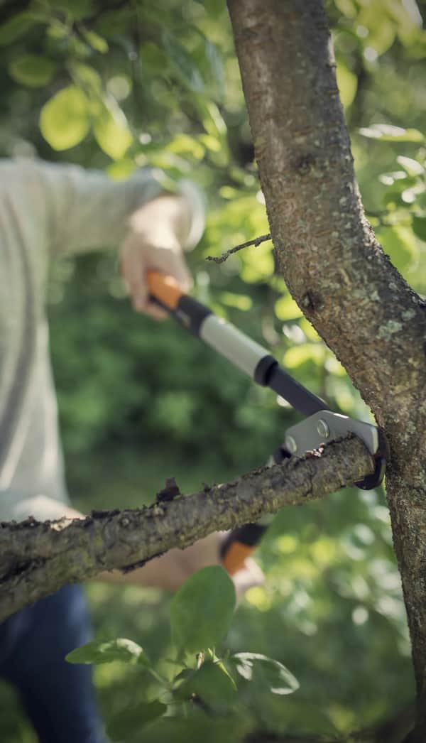 Fiskars PowerGear X Grensaks