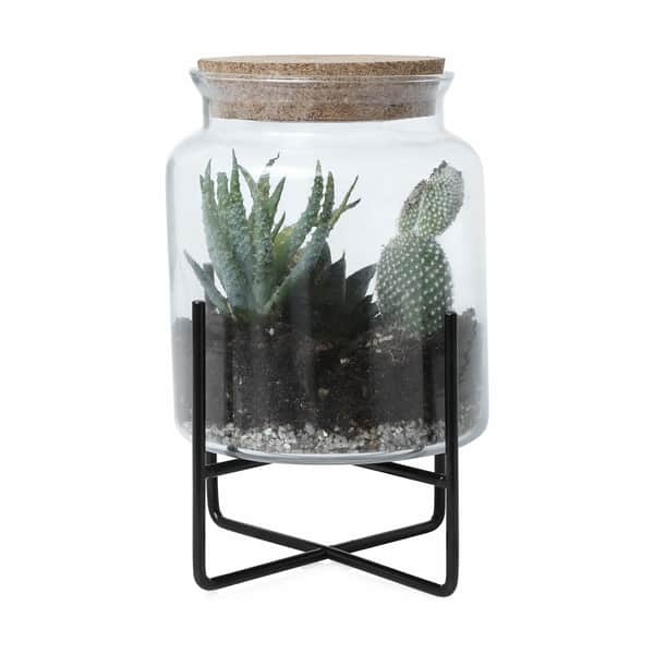  Planteglas M. Fod Og Korklåg