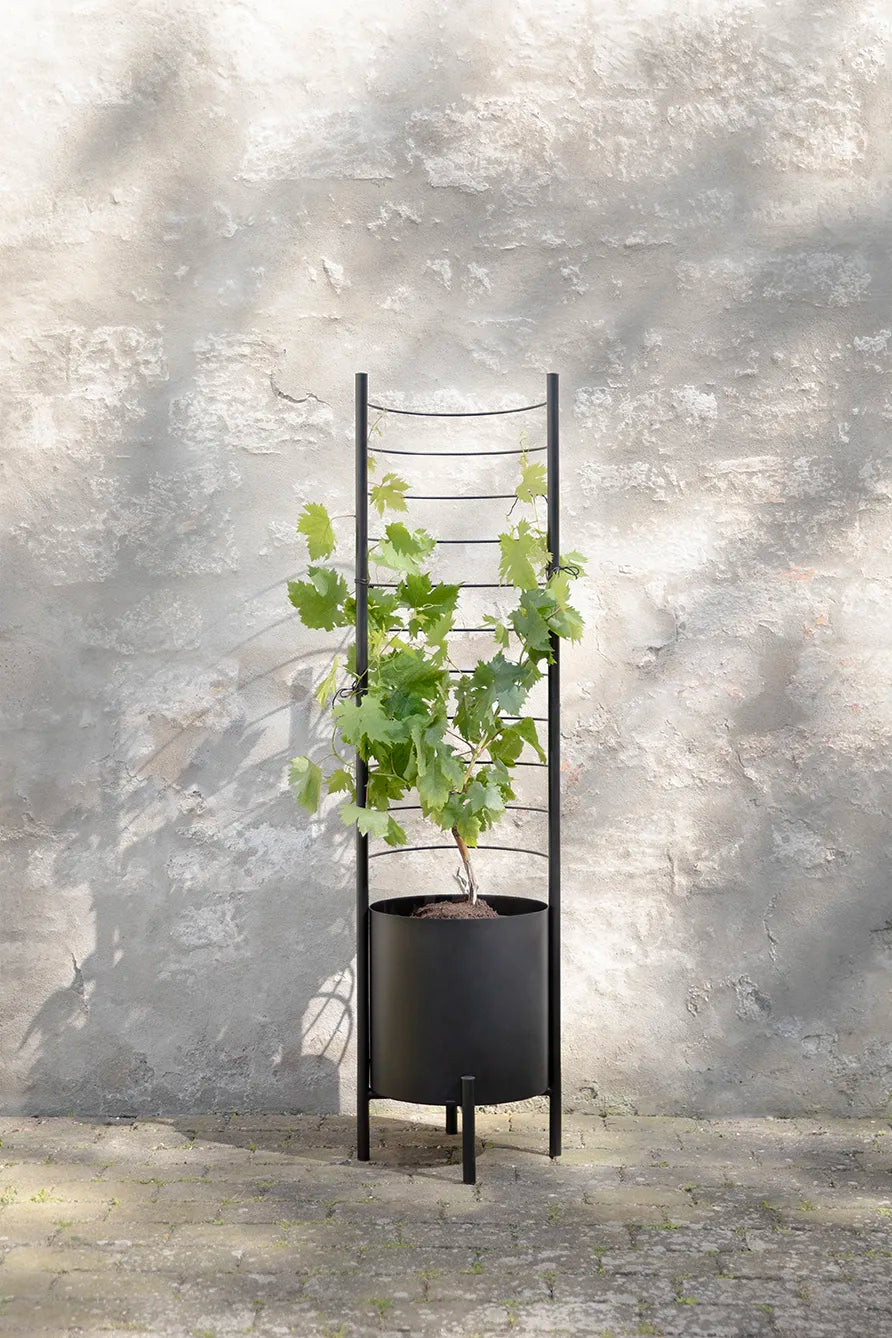 Eva Solo Simply Grow Espalier Til Plantekasse