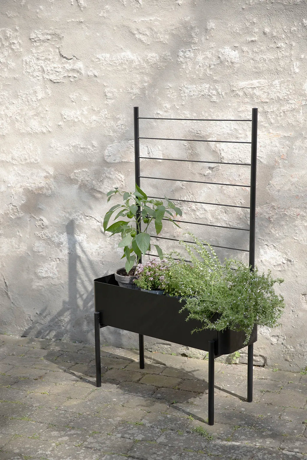 Eva Solo Simply Grow Espalier Til Potteskjuler