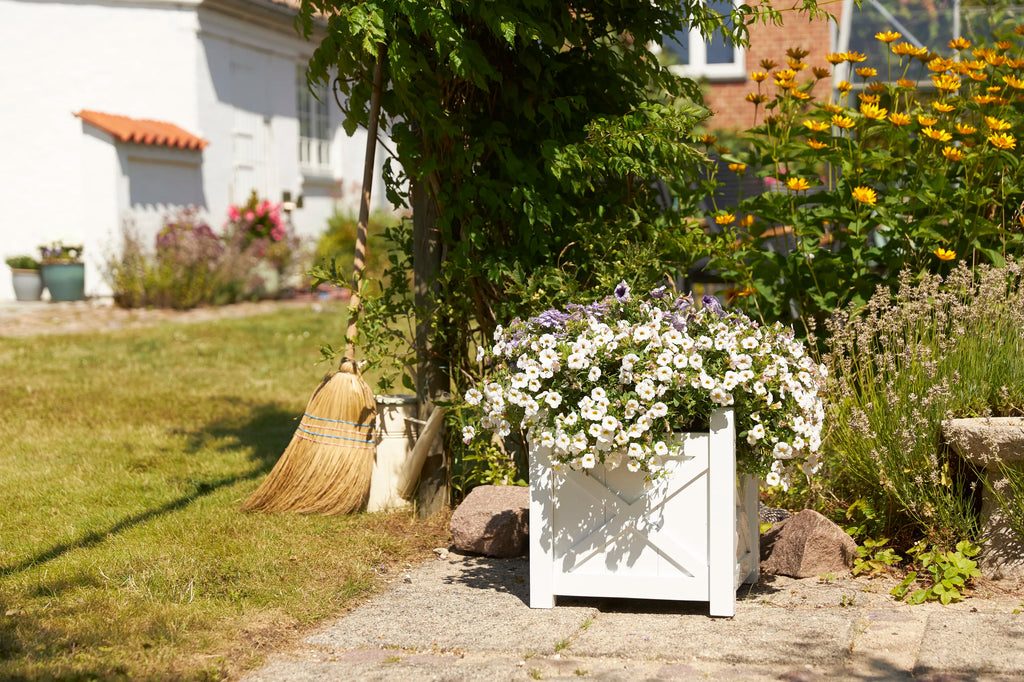  Rosenborg Plantekasse