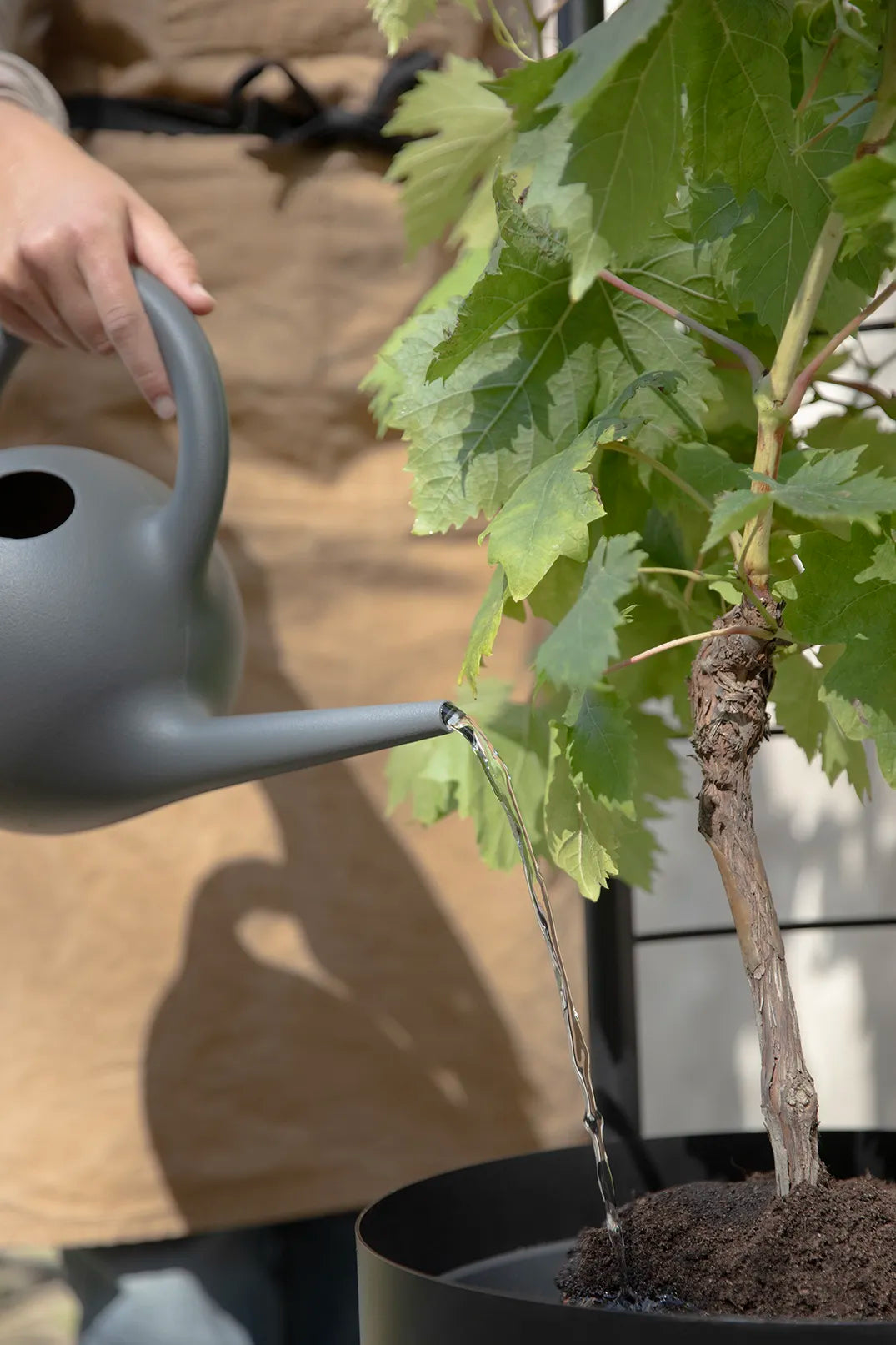 Eva Solo Simply Grow Espalier Til Potteskjuler