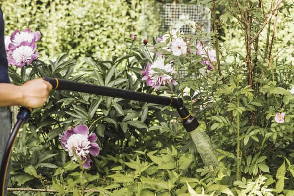 Fiskars Comfort Lang Bruser