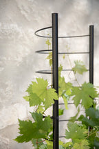 Eva Solo Simply Grow Espalier Til Potteskjuler