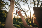 Fiskars Plus PowerLever Beskæresaks