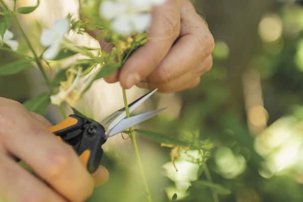 Fiskars Solid Beskæresaks