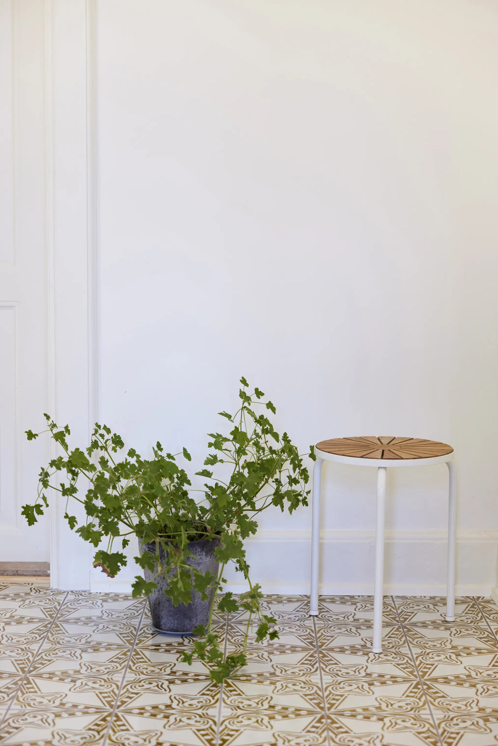  Marguerit Taburet