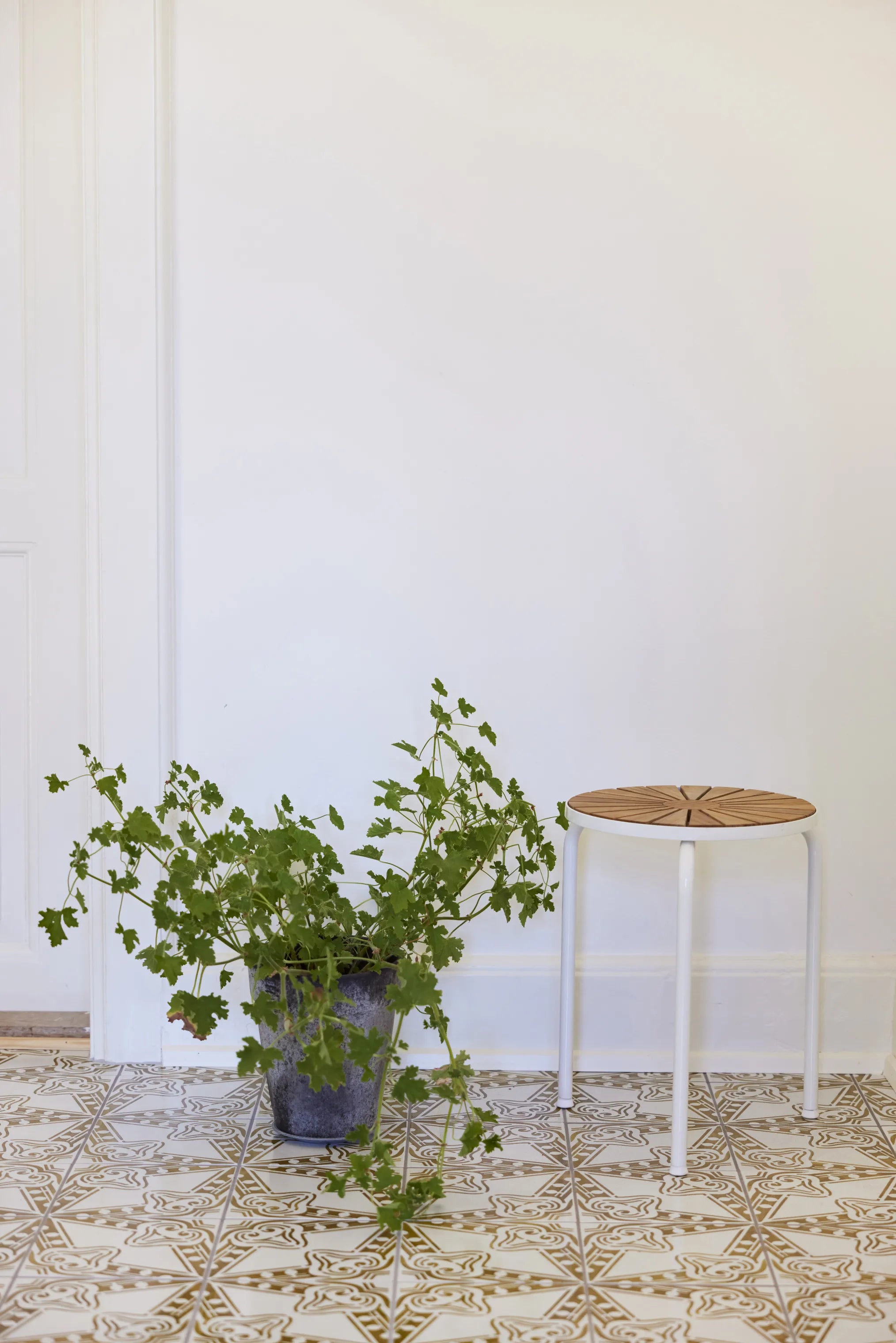  Marguerit Taburet