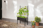 Eva Solo Simply Grow Espalier Til Plantekasse